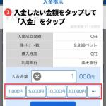 テレボートの入金画面