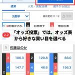 「オッズ投票」とは？
