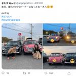 喜多須杏奈が所有しているmini