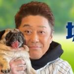 愛犬家でも有名な坂上忍さん