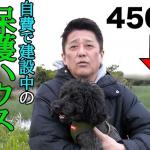 坂上忍さんが建設中の保護ハウス