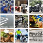 毒島誠の投稿内容