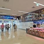 オールスター現地の写真