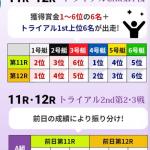 トライアル2ndの説明