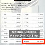 「最競艇国」はポイント購入ページでユーザーを騙す