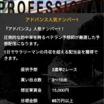 プロフェッショナルプラン