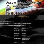「プロフェッショナルプラン」の基本情報