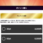 ポイント購入ページ