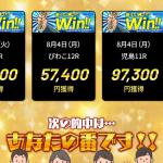 的中実績は不透明