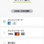 クレジットカード決済と銀行振込決済しかないポイント購入